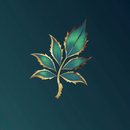 Mini curso - Grandes mudanças!